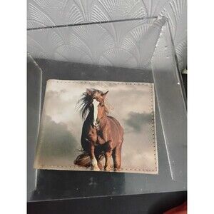 Tems Western Wallet